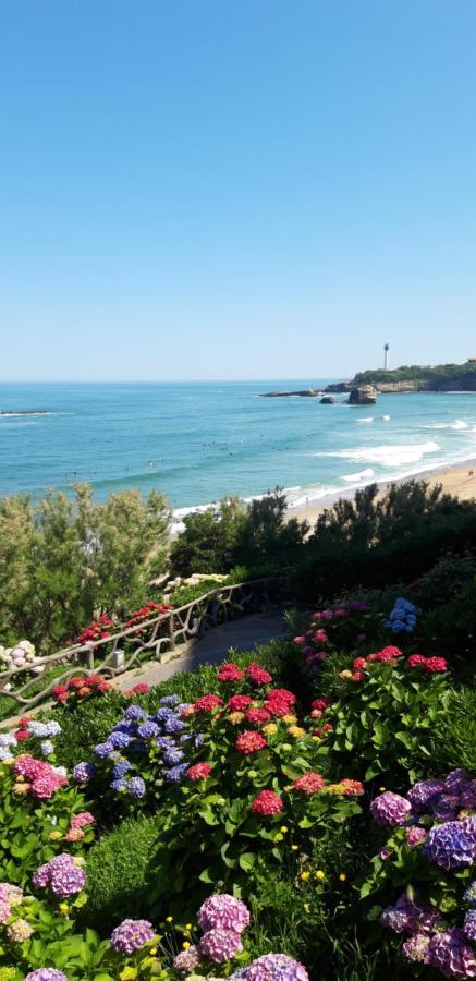 Apartamento Dalhia Centre *